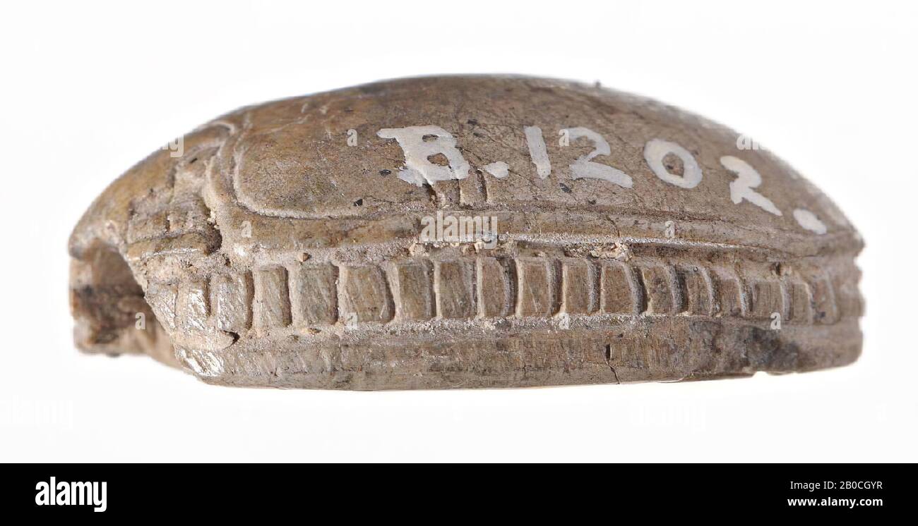 scarab, Mencheperkare, Ptah, seal, scarab, stone, faience, 1,9 cm, Egypt Stock Photo Alamy