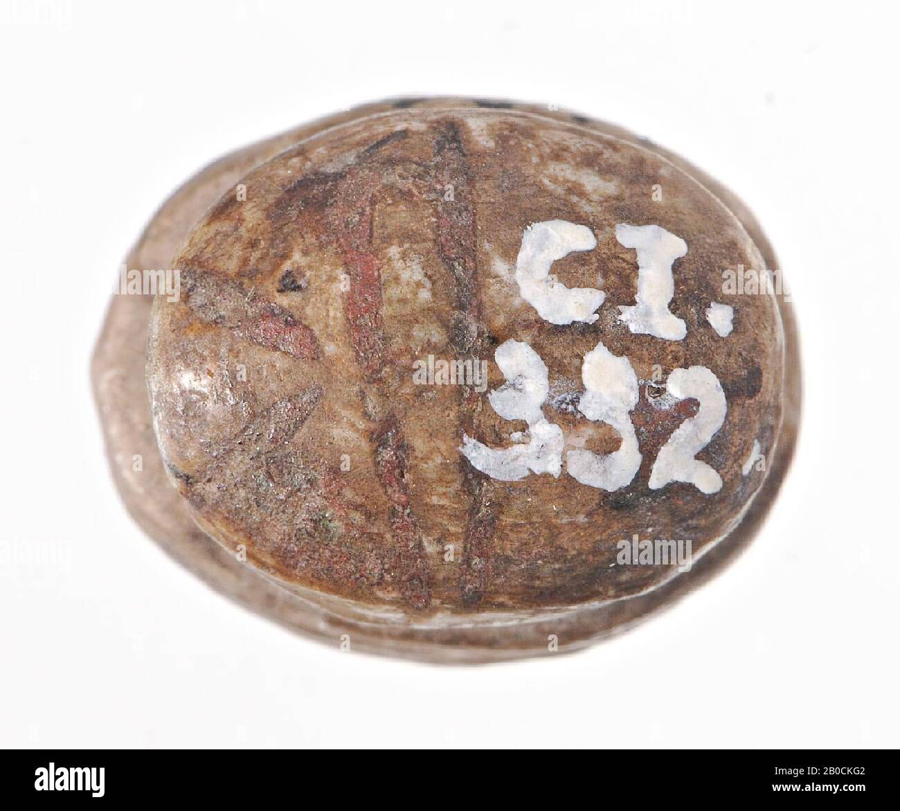 scarab, line motif, seal, scarab, faience, 1.3 cm, Egypt Stock Photo
