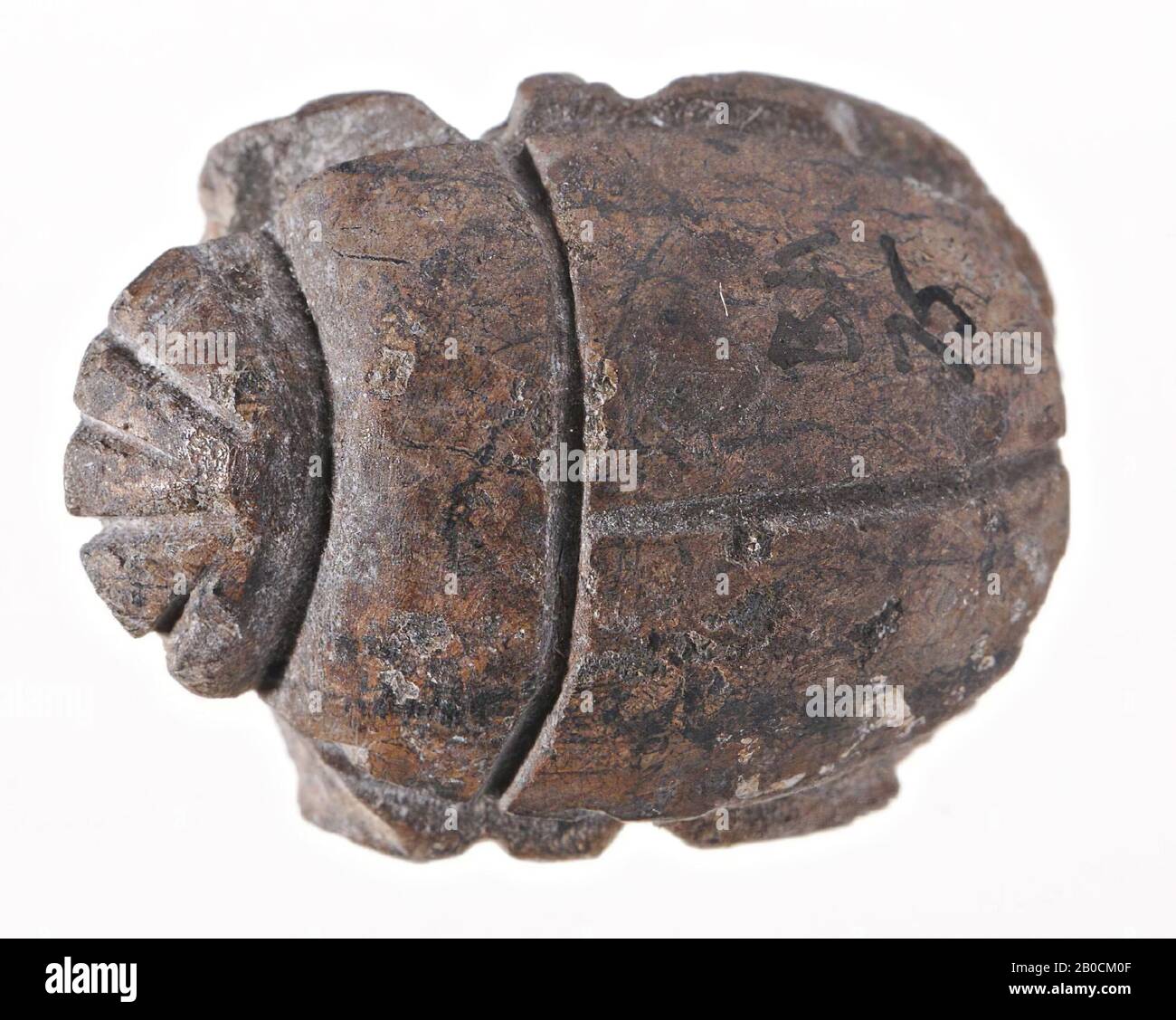 scarab, seal, scarab, stone (gray), 2.1 cm, Egypt Stock Photo