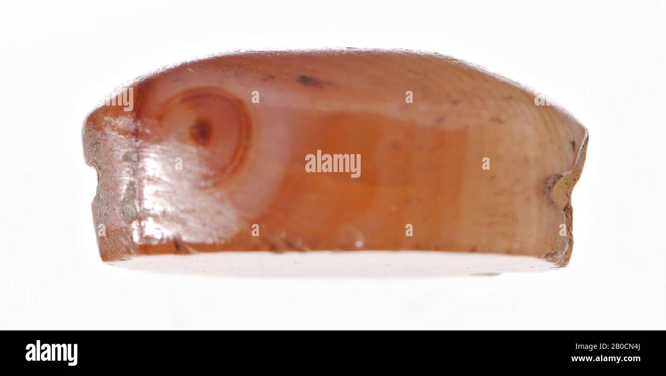 scarab, unprocessed, seal, scarab, stone, jasper (?), 1 cm, Egypt Stock Photo
