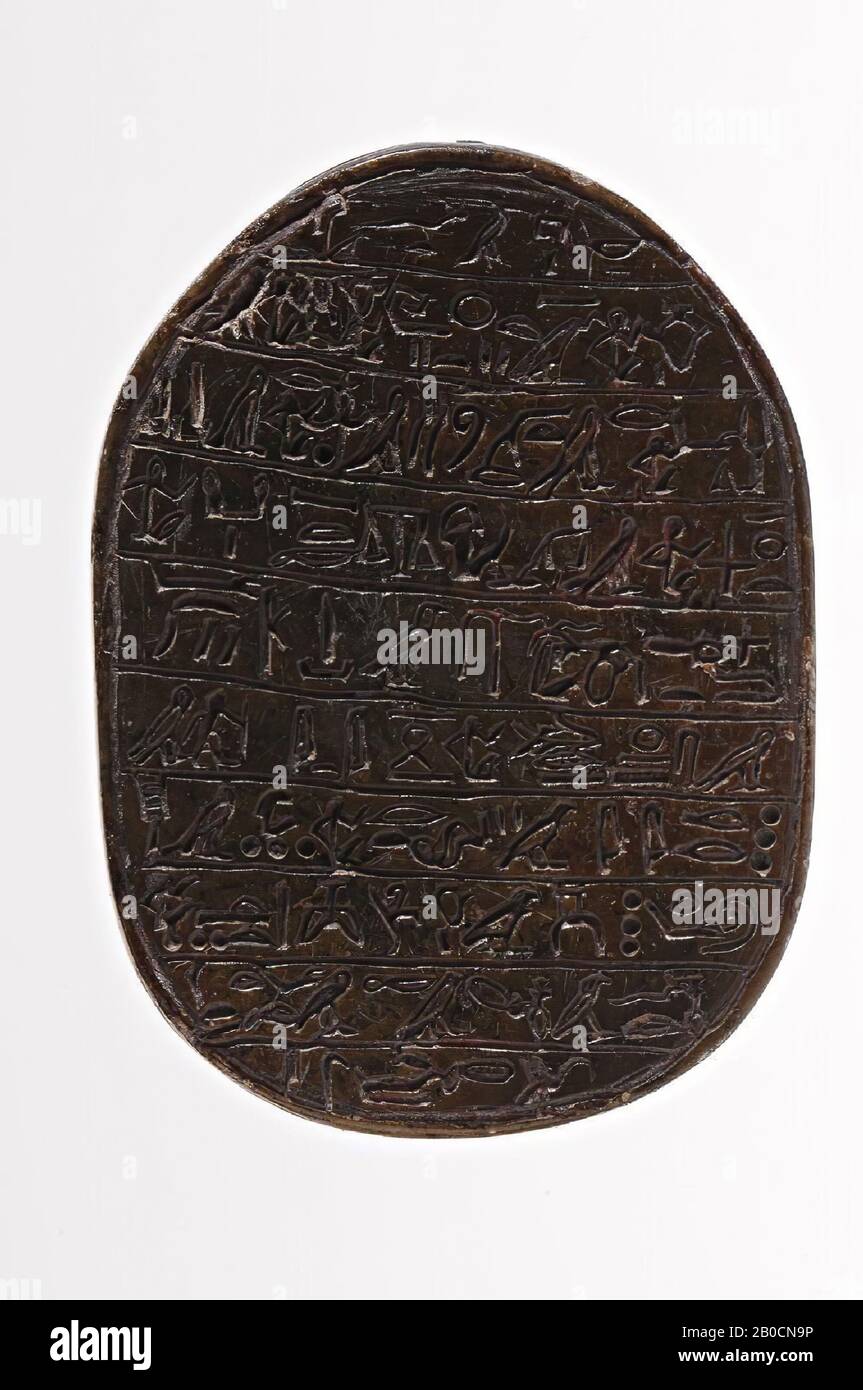 Egypt, seal, scarab, stone, brown, 6.4 cm, Location, Egypt Stock Photo