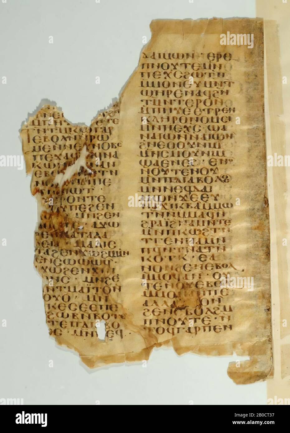 Egypt, manuscript, sermon, parchment, 31.5 x 21.3 cm Stock Photo