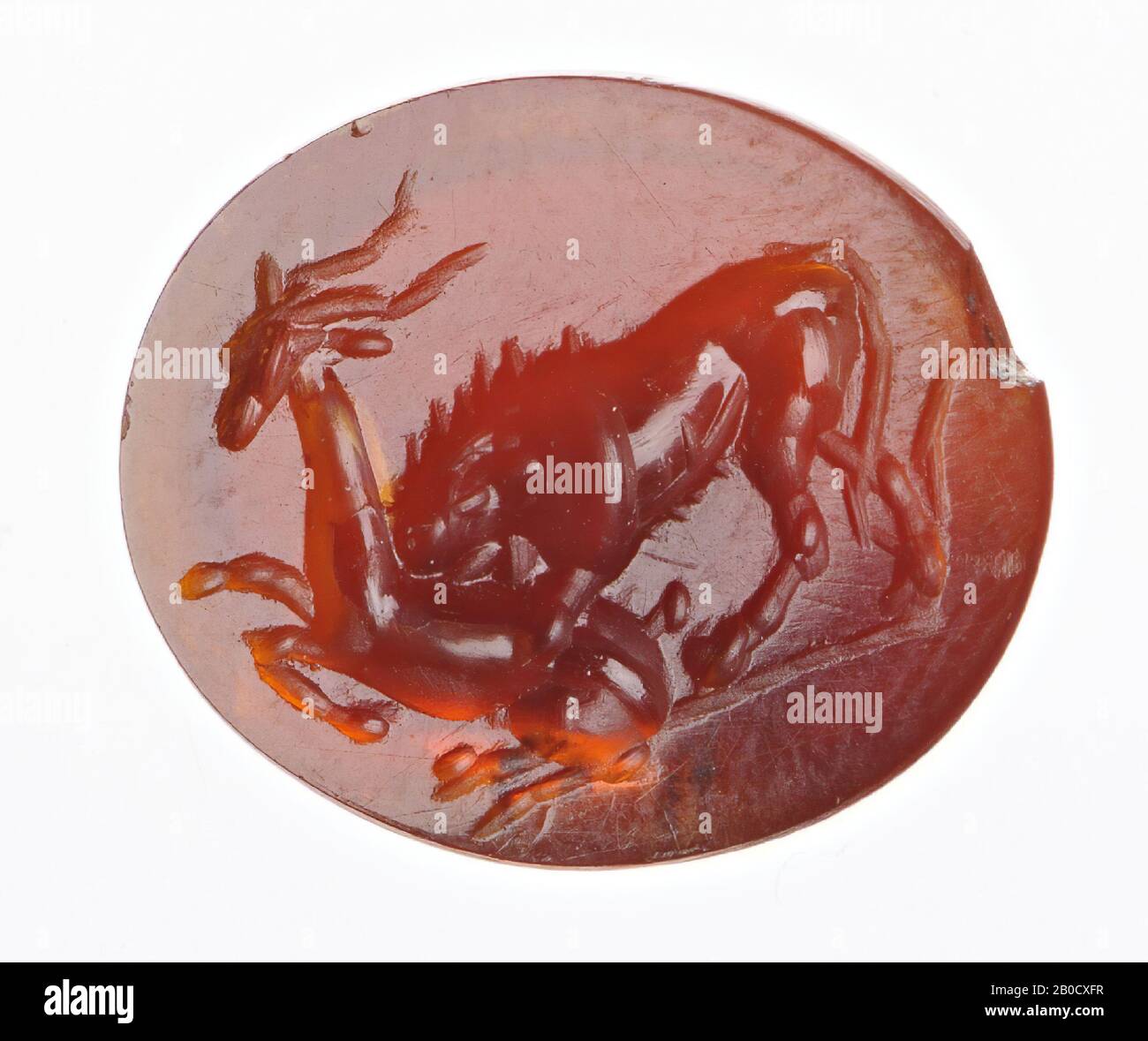 Vz: a lion bends over a fallen deer and eats it., Gem, intaglio, ring stone, carnelian, Color: brown-red, Shape: oval, Processing: edge cut at the front compared to the rear, : modeling with thick and thin rounded drill, 13 x 10.5 mm, D. 2.5 mm, 1st century AD. 1-100 AD Stock Photo