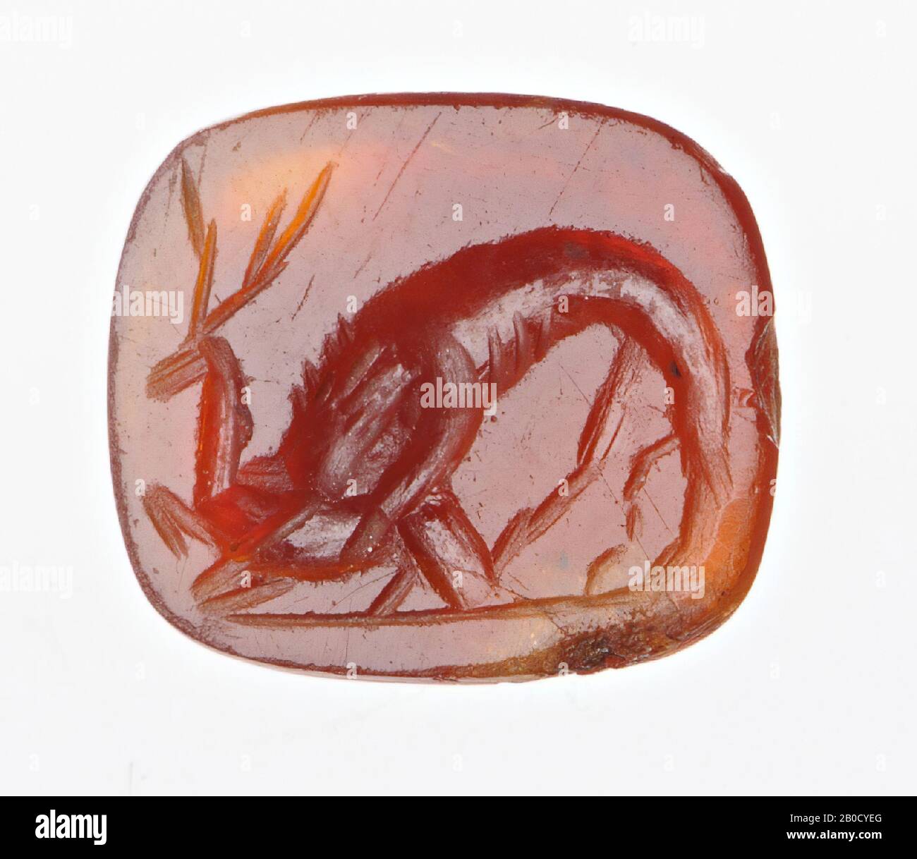 Vz: lion attacks an animal., Gem, intaglio, ringstone, carnelian, Color: dark red, Shape: square with rounded corners, Machined: edge at the back cut back with respect to front, Method: modeling with rounded wheel grooves., 10 x 8 mm, D. 3 mm, 2nd - 3rd century AD. 100-300 AD Stock Photo