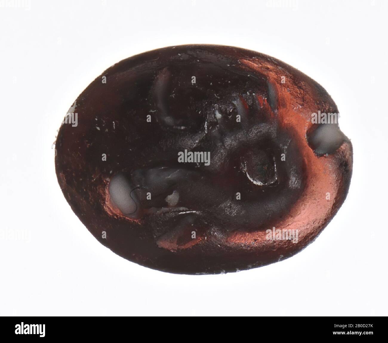 Vz Head From Zebu To Left Gem Intaglio Garnet Color Purple Red Shape Oval Horizontal Processing Method 6 X 8 5 Mm D 2 Mm Wt Gr 4th 6th Century Ad 300 600 Ad Stock Photo Alamy Vz Head From Zebu To Left Gem Intaglio Garnet Color Purple Red Shape Oval Horizontal Processing Method 6 X 8 5 Mm D 2 Mm Wt Gr 4th 6th Century Ad 300 600 Ad Stock Photo Alamy
