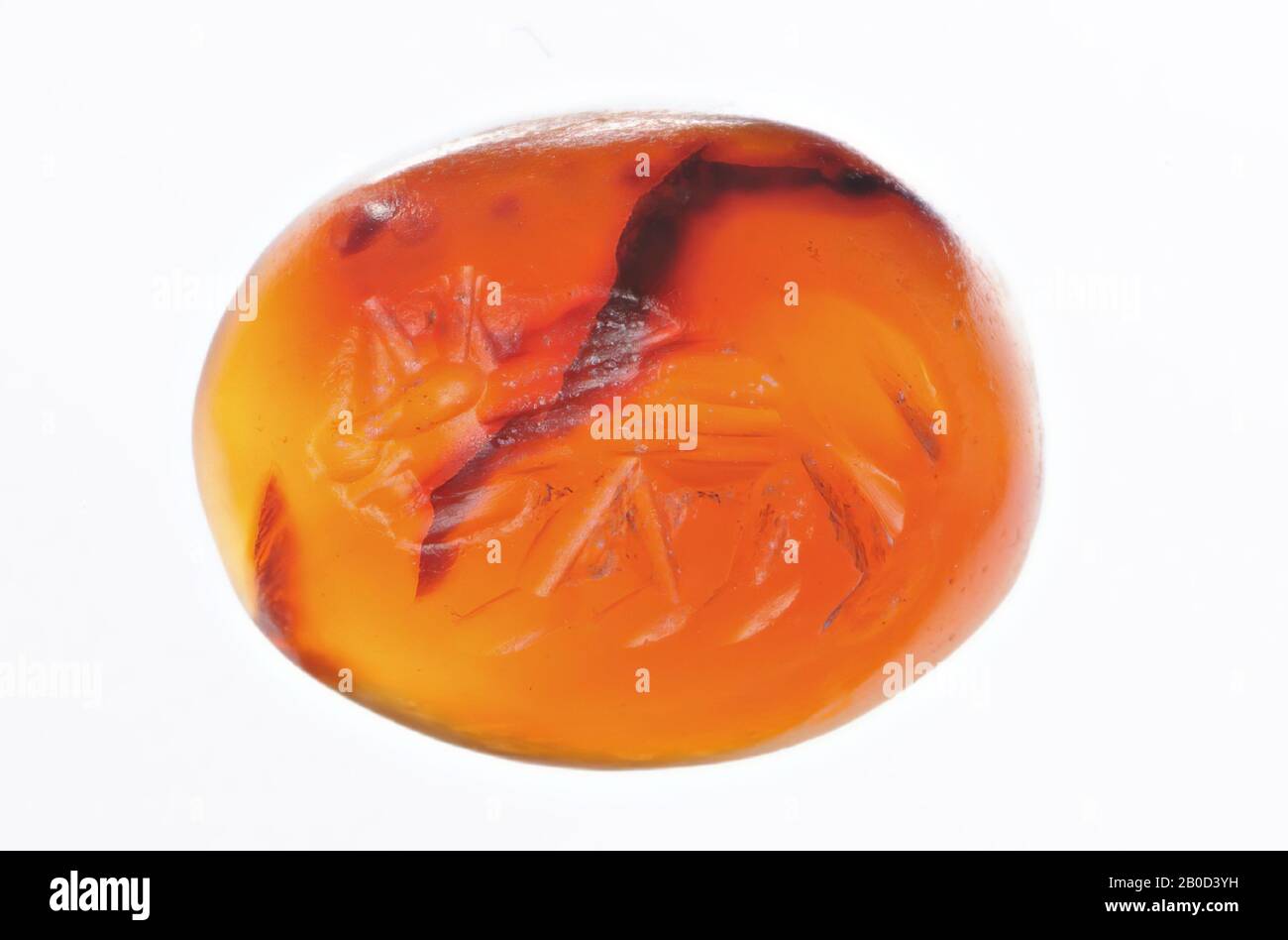 7 9 mm Cut Out Stock Images Pictures Alamy