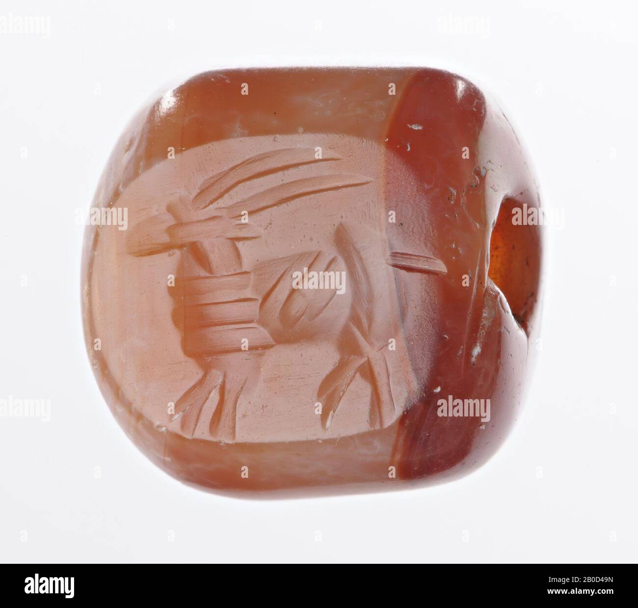 antelope walking to the right, stamp seal, agate carnelian, Color :, Form: dactyloid, Processing:, Method of manufacture:, 13.5 x 15.5 x 15 mm Stock Photo