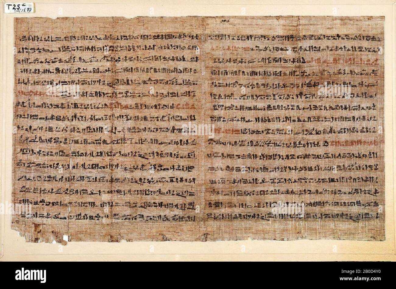Egypt, handwriting, hieratic, papyrus, 24 x 40 cm Stock Photo