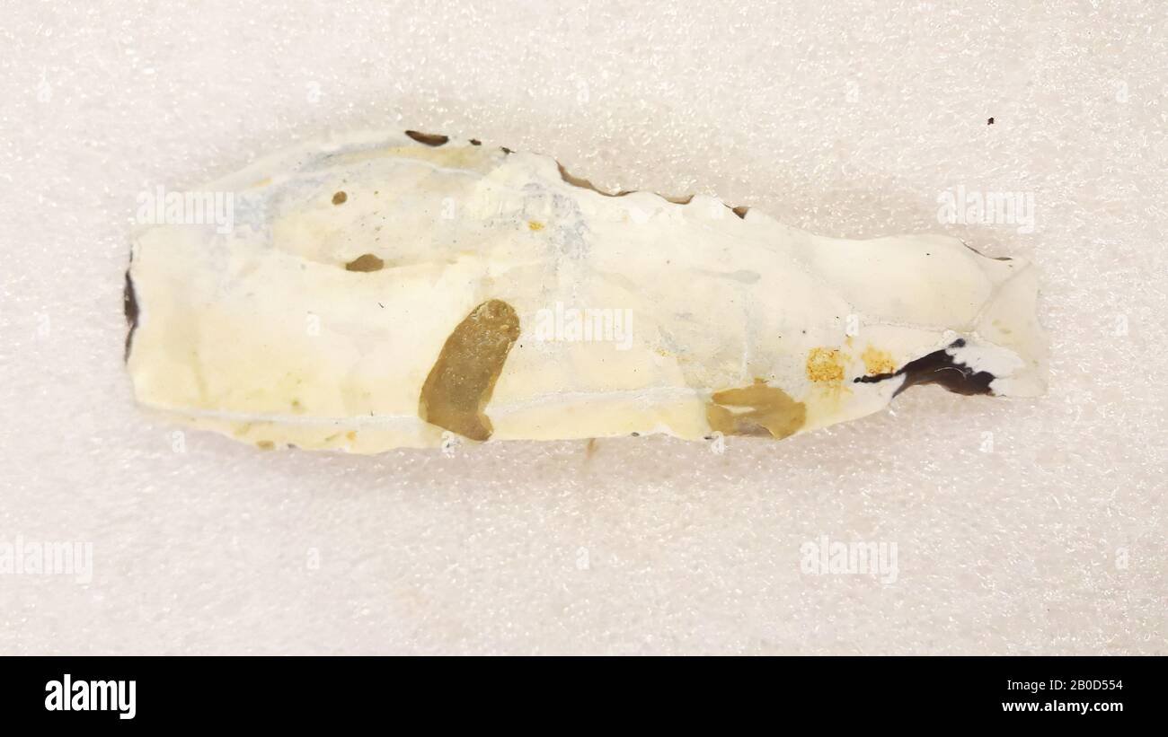 The Netherlands prehistory, blade, stone, flint, 4.7 x 13.9 x 0.8 cm, mesolithic 9000-4500 BC, the Netherlands, South Holland, Rotterdam, Maasvlakte, Europoort, between posts 1033 and 1034 Stock Photo