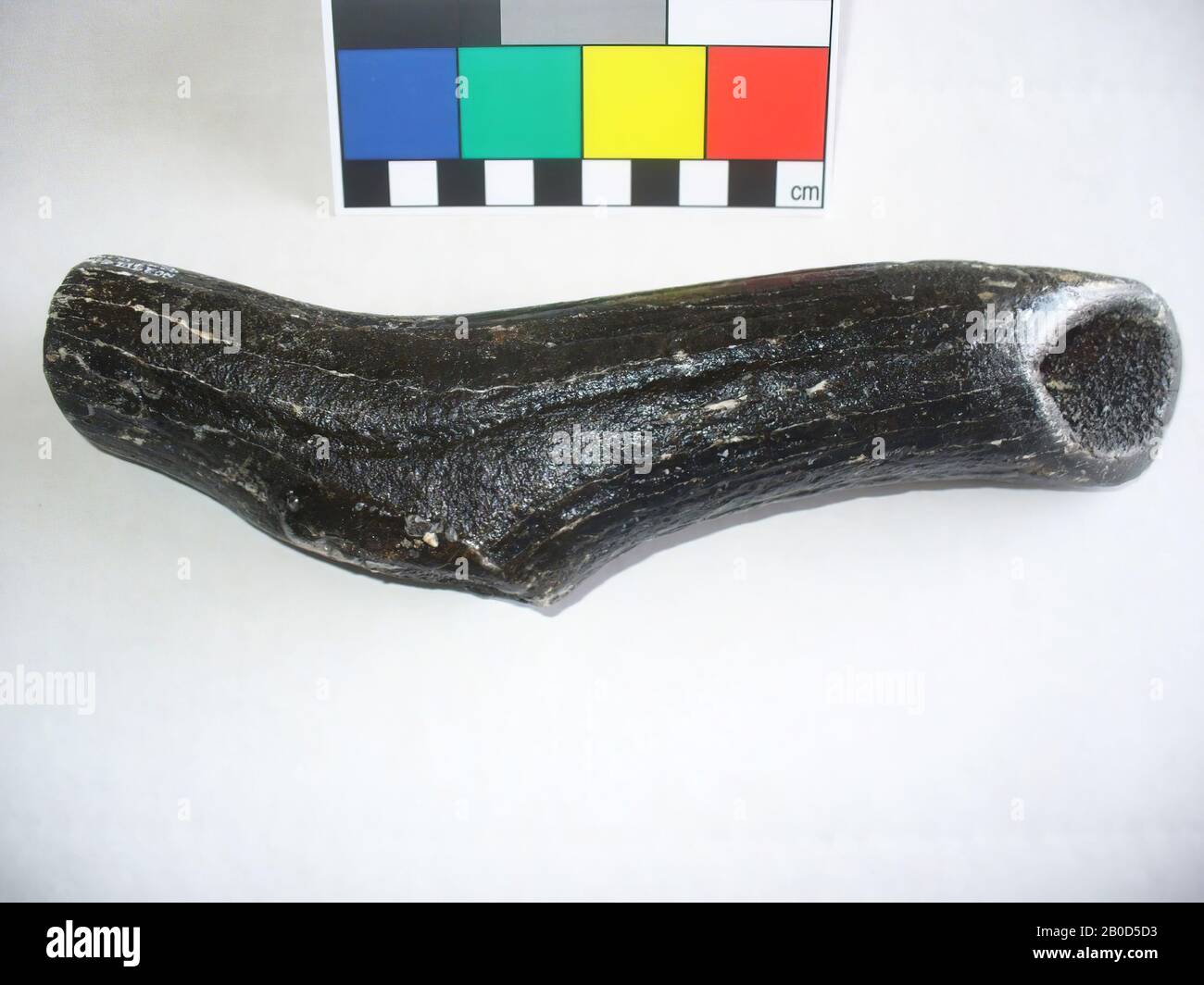tool, organic, antlers, L: 21.5 cm, W: 5.7 cm, D: 4.2 cm, G: 362 gr., Mesolithic 8000-4000 BC, Netherlands, South Holland, Maasvlakte, North Sea, west of the Brown Bank Stock Photo