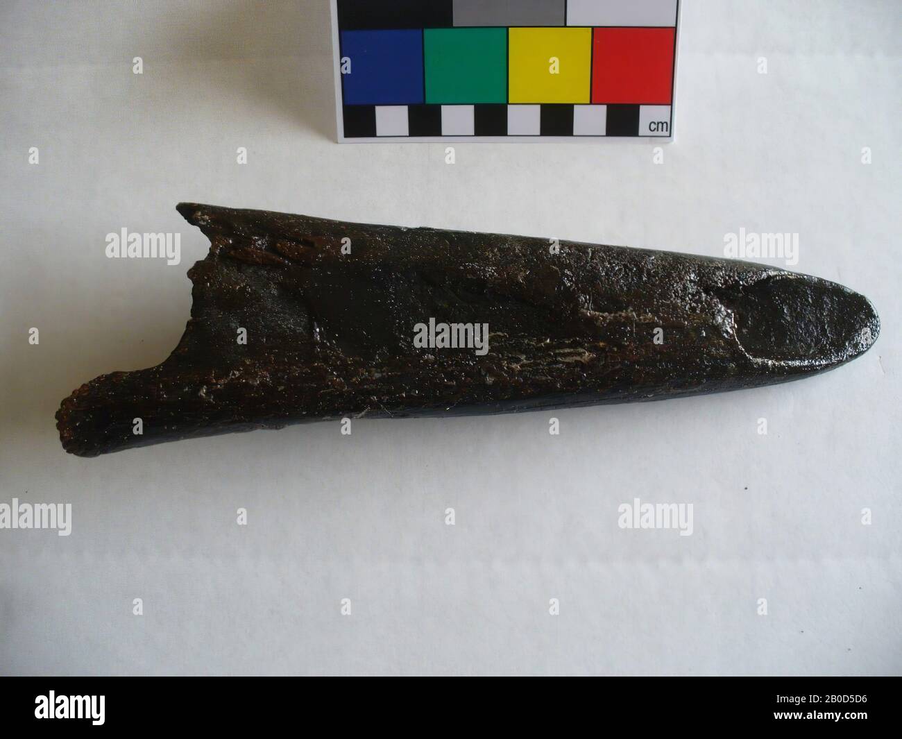 tool, organic, bone, L: 22.9 cm, W: 6.8 cm, D: 3.4 cm, G: 229 gr., Mesolithic 8000-4000 BC, Netherlands, South Holland, Maasvlakte, North Sea Stock Photo