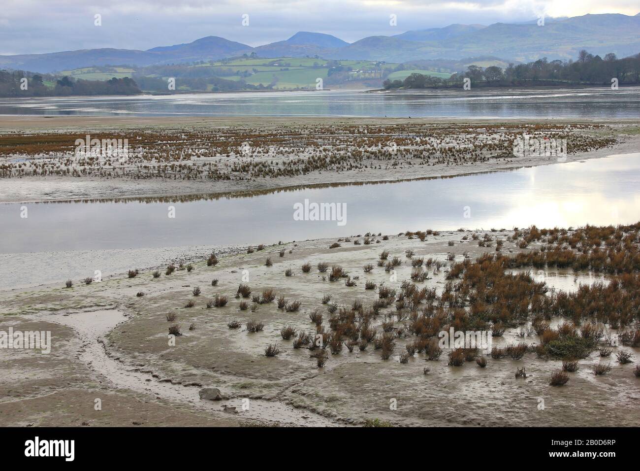 Conwy River Estuary, Wales at Low Tide In Winter With Water Channels Through the Saltmarsh Stock Photo