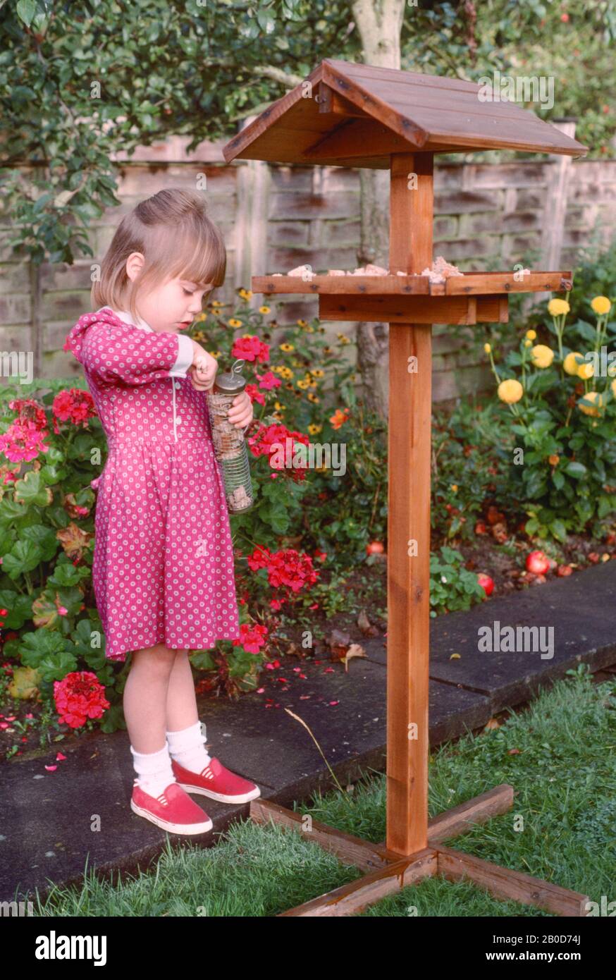 Putting food bird table and garden hires stock photography and images
