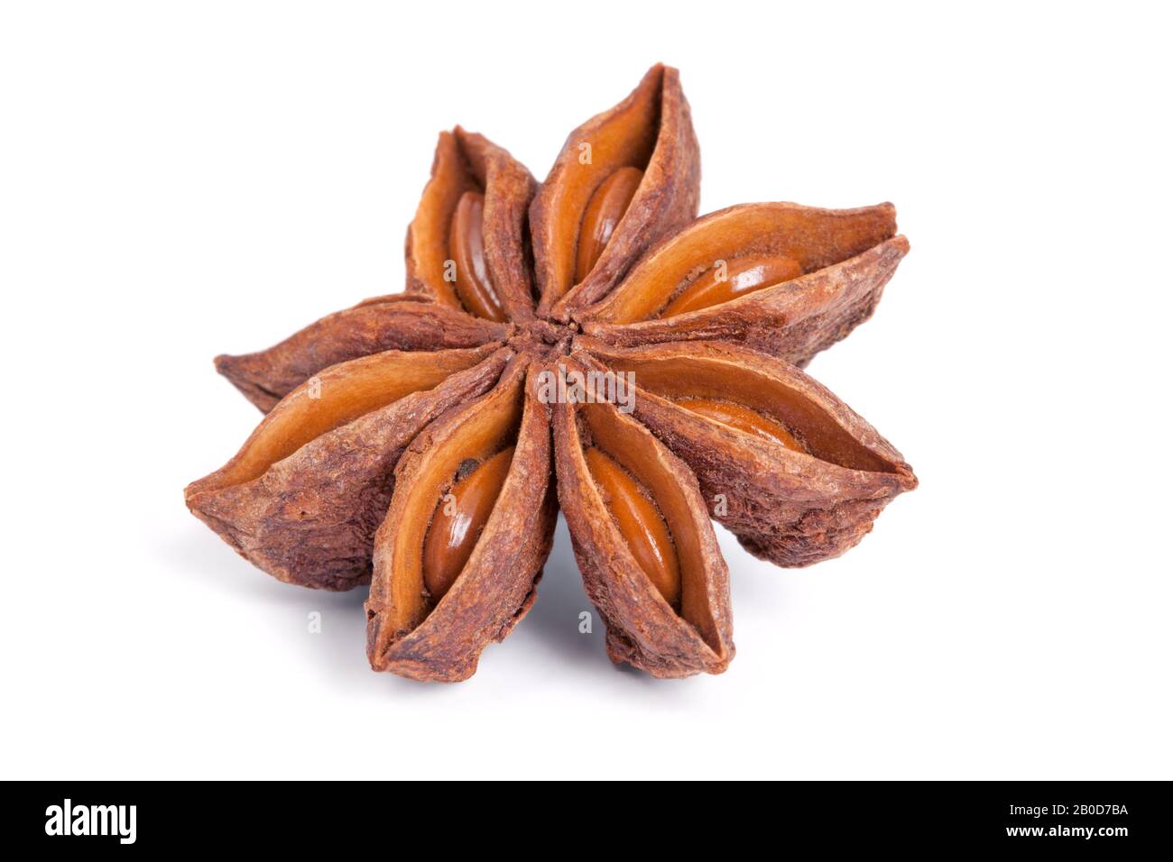 Anise star (Illicium verum) isolated on white background. Also called