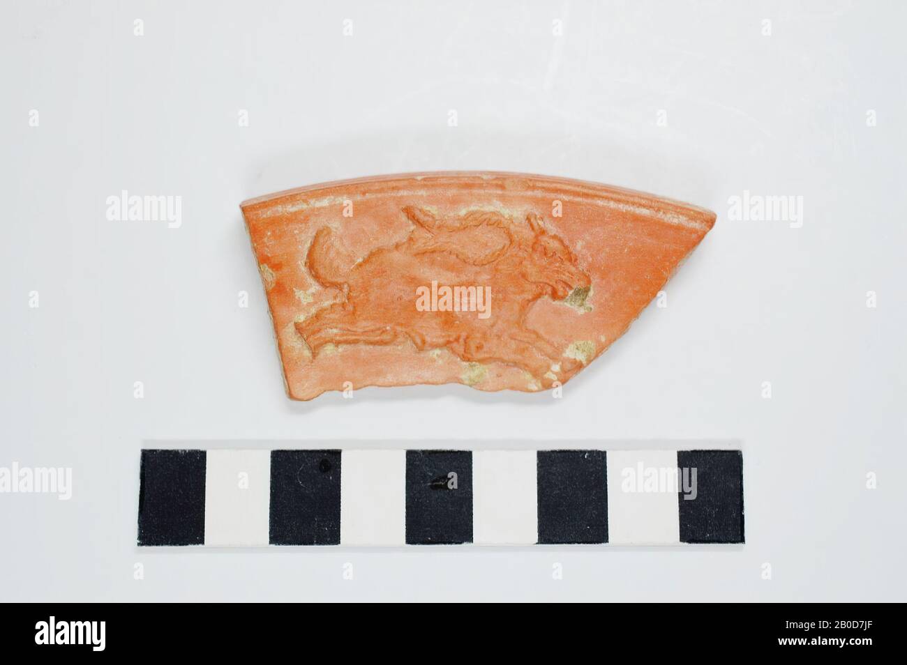 Fragment of a large scale of North African terra sigillata, with the typical orange-red silt layer. The edge of the shell was decorated with running animals (and possibly hunters), one of which has been preserved: a running antelope (or ibex) to the right, the front and hind legs stretched. The animal has beautiful, curled horns, and a thick upward directed tail. The intense look and the open mouth give an impression of great vibrancy. Provided with a label: 'Roman North Africa. Redware sherd showing an ibex or similar antelope leaping right. 1st-2nd C. Tunisia. ', Terra sigillata (fragment Stock Photo