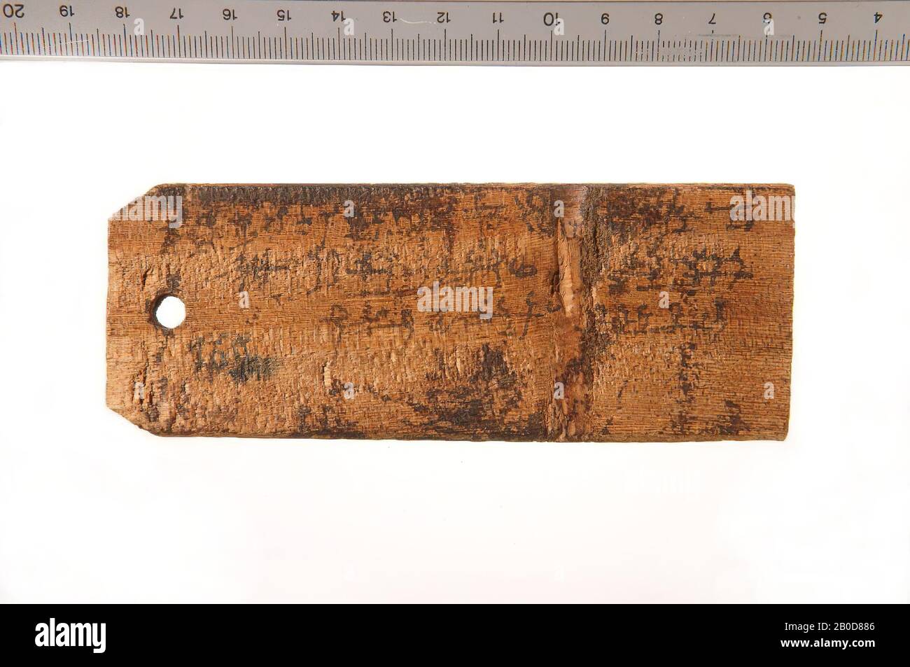 Greco Roman Label