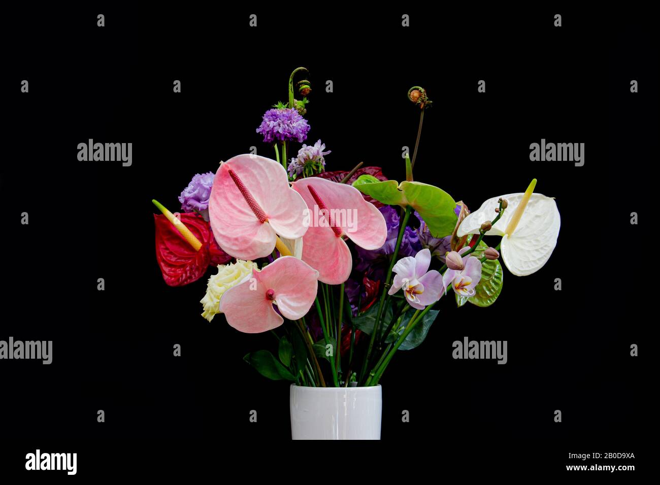 Colorful flower bouquet with red and white Flamingo Flowers, violet Lisianthus or Eustoma, Orchid and rolled up fern isolated on black background Stock Photo