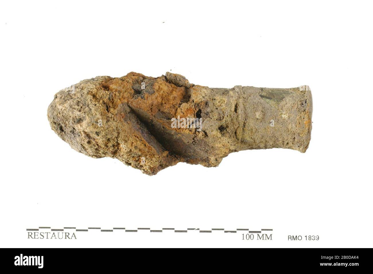 Shell point hi-res stock photography and images - Alamy