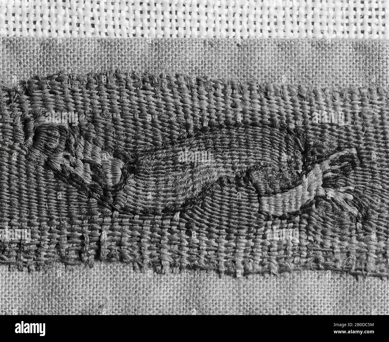 Coptic Fish clavus, leaf, fish, tissue, clavus, wool, 3,5 x 52 cm, Coptic Period ...