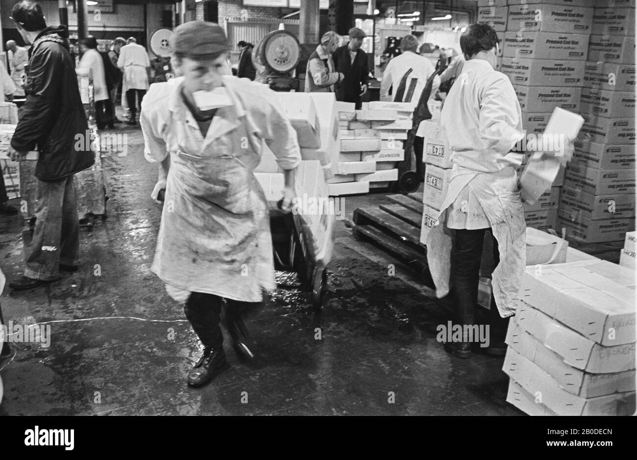 9/5/33 Billingsgate Fish Market 1981 Market floor Stock Photo