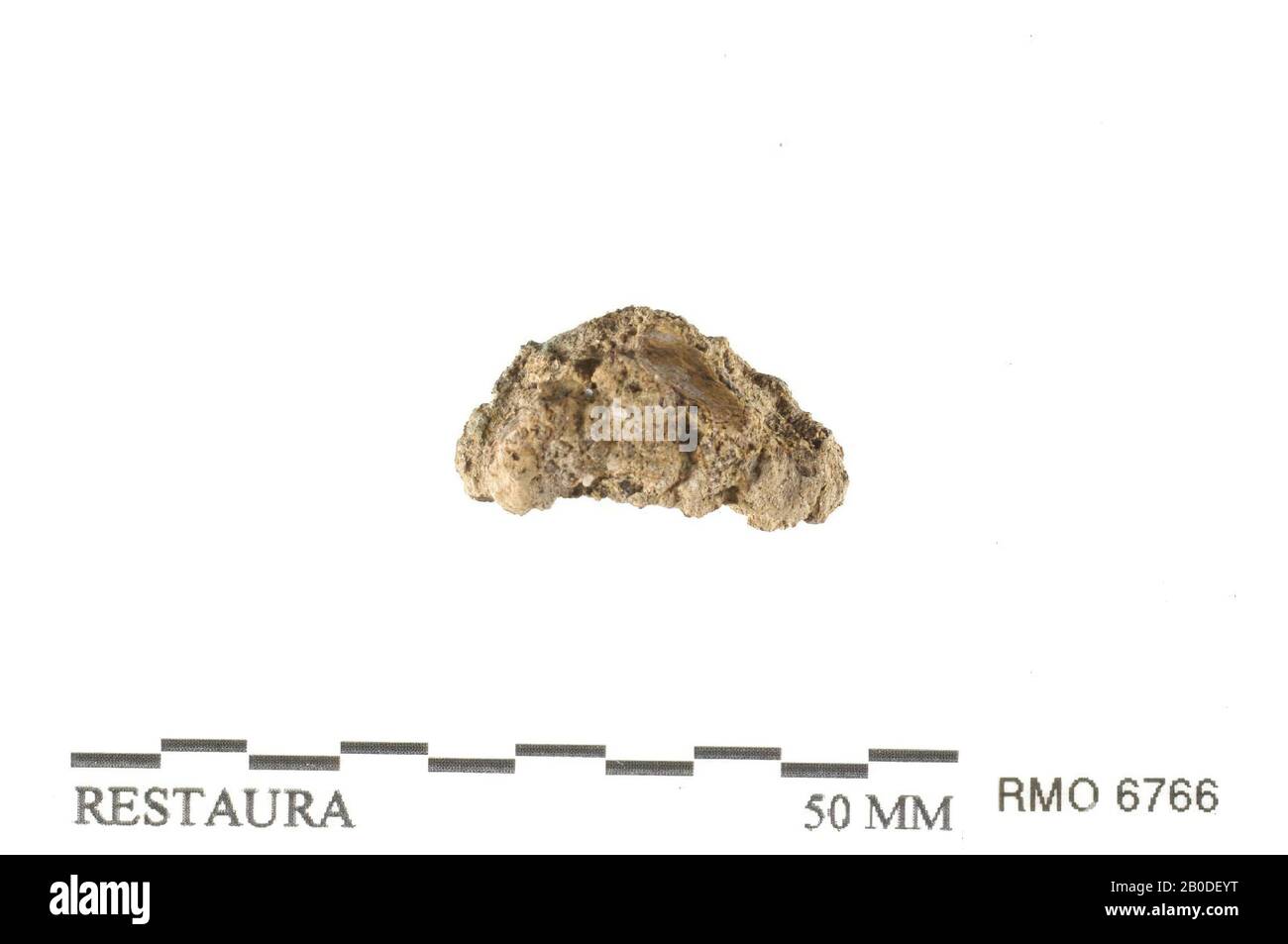 coin, folded, coin, double folded, copper alloy, 2,2 x 1,2 cm, x ...