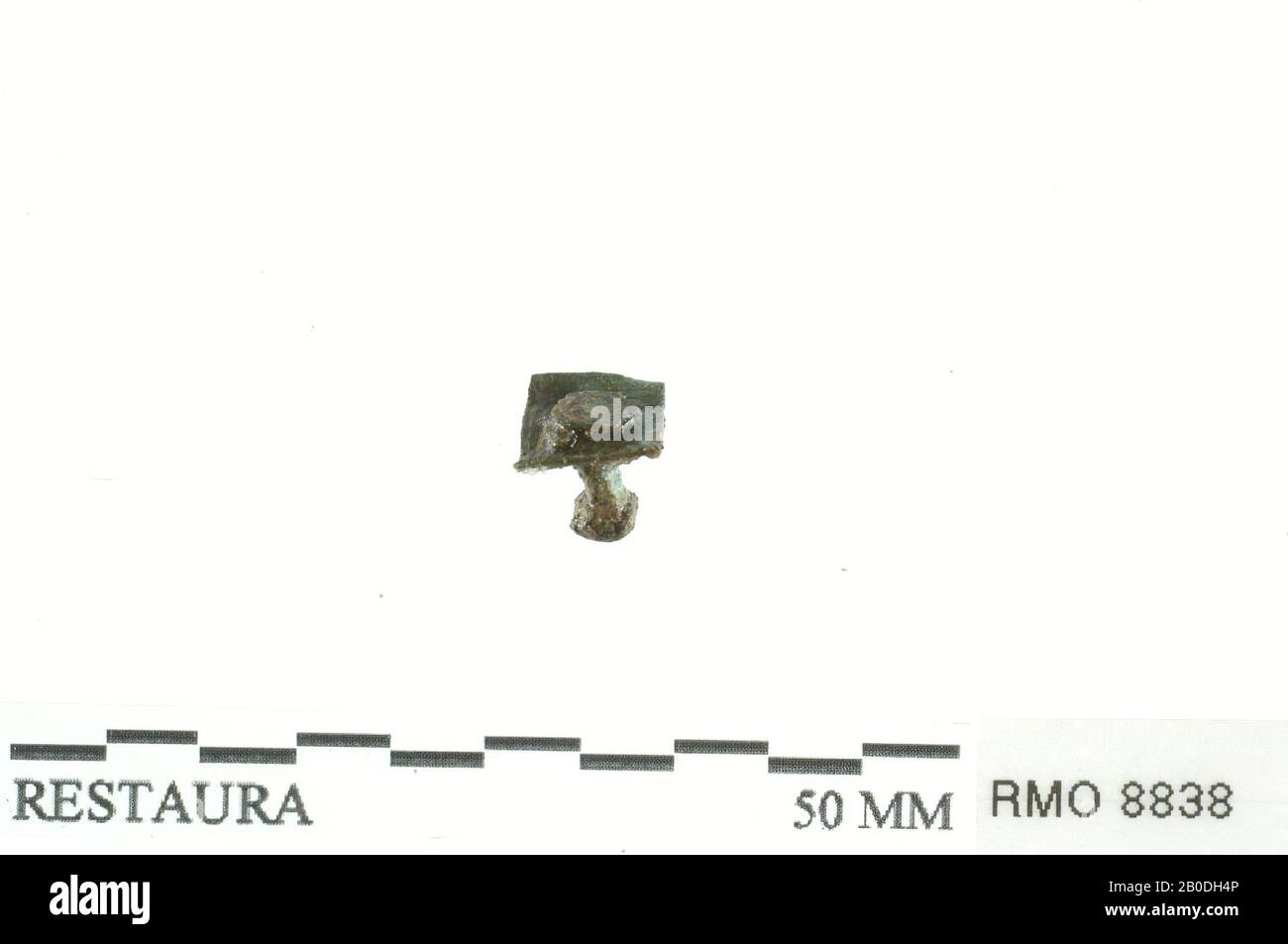 rivet with square locking plate, rivet with square locking plate, copper alloy, 0,7 x 0,7 cm, x, Netherlands, Utrecht, Wijk bij Duurstede, Wijk bij Duurstede, Dorestad Stock Photo