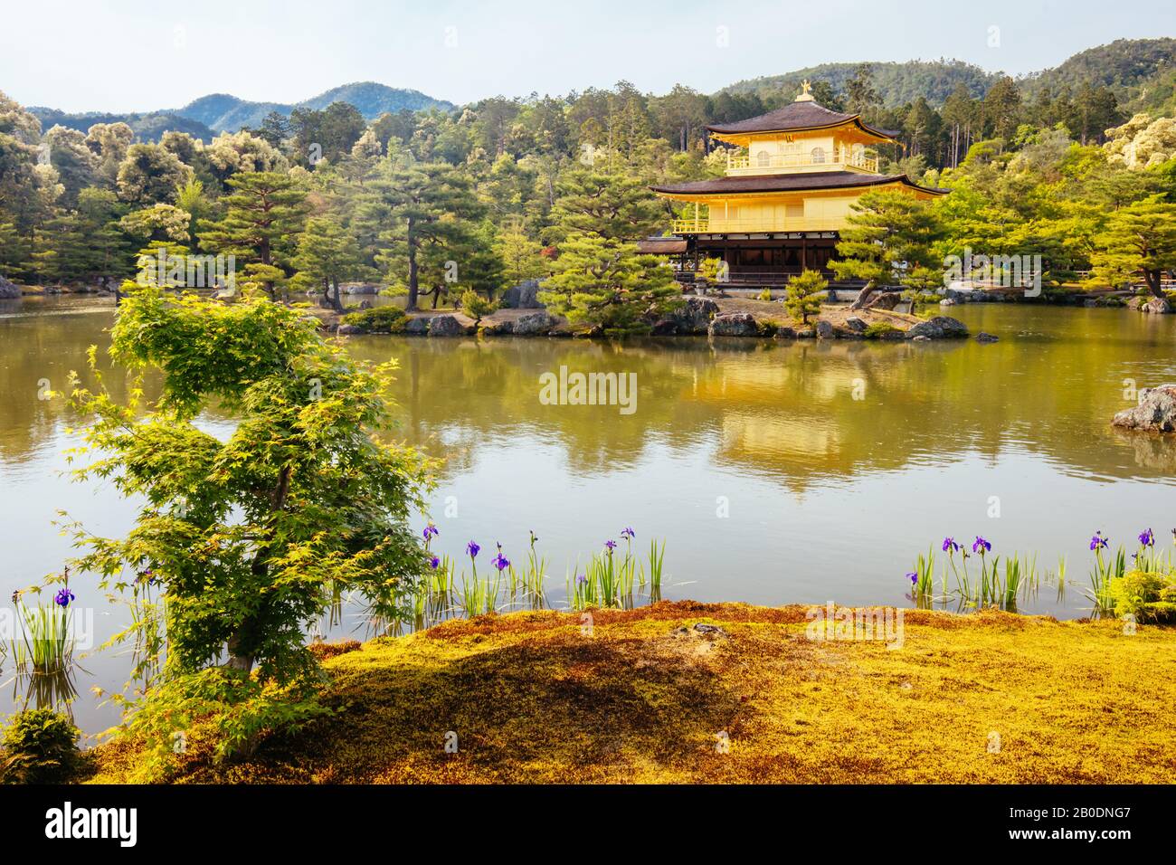 Kinkakuji Temple or The Golden Pavilion in Kyoto, Japan Stock Photo