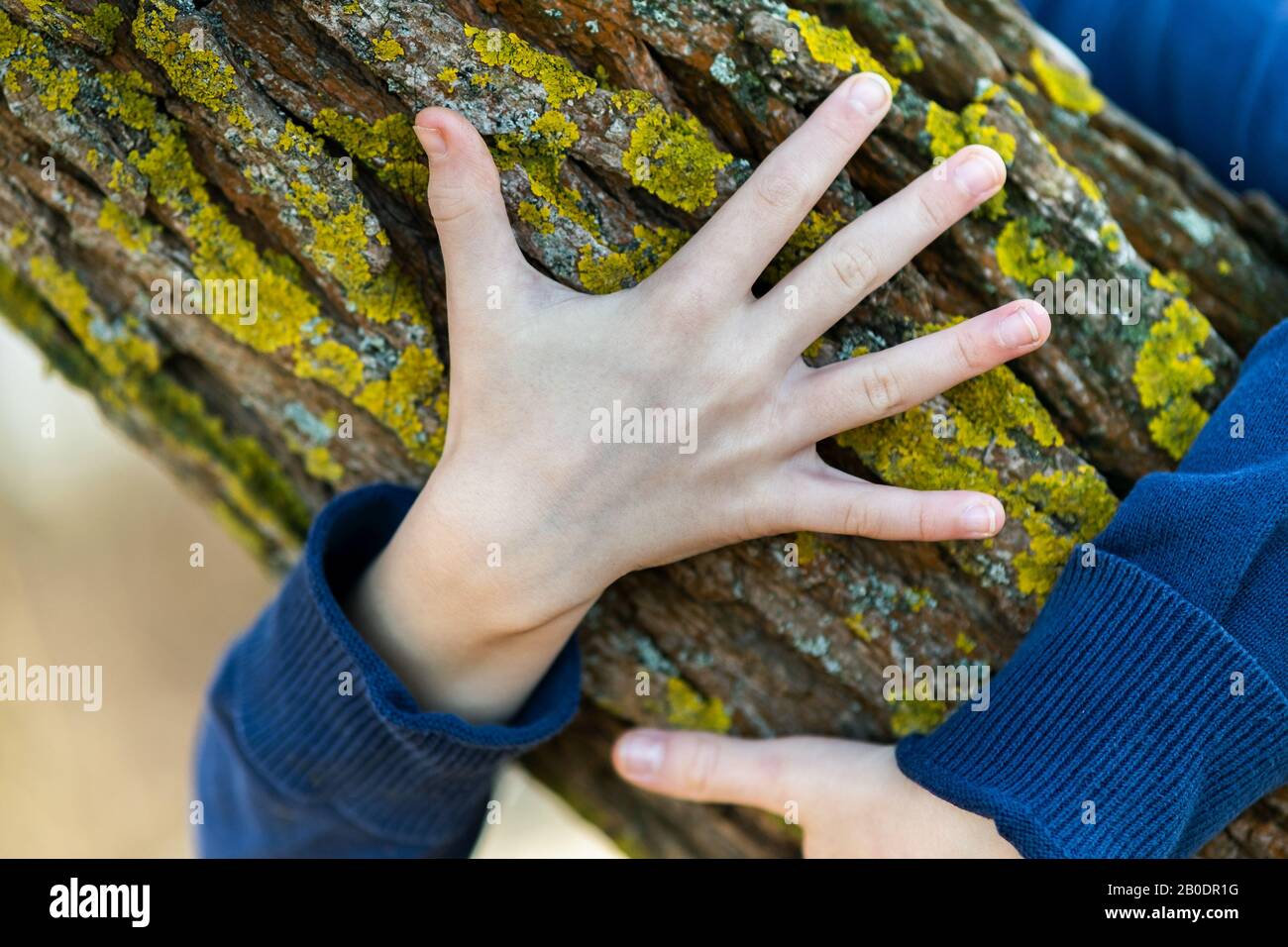 Child arms around tree trunk hi-res stock photography and images - Alamy