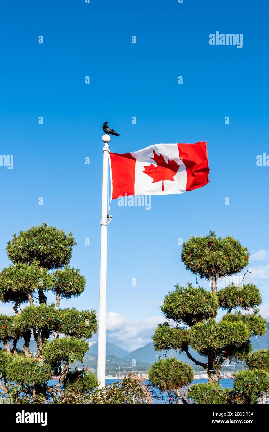 Flag of Canada flying and waving against a beautiful blue sky. Stock Photo
