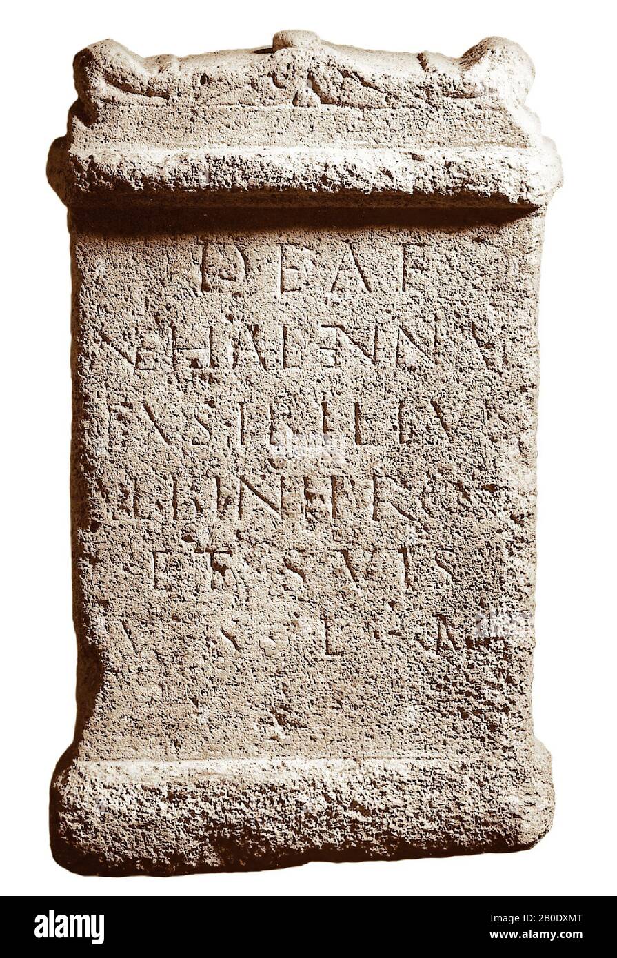 40 kgs in stone cheap