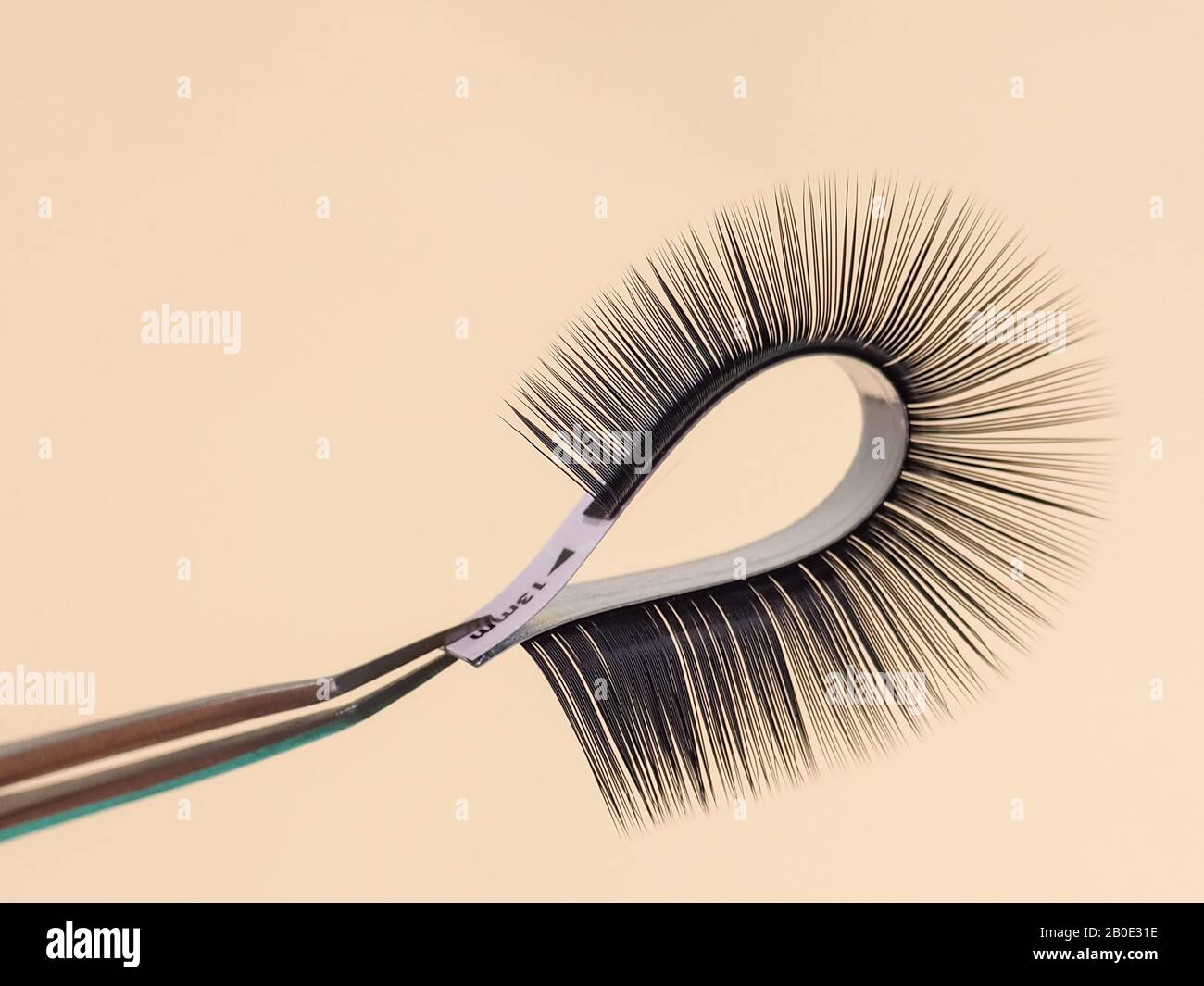 strip for eyelash extensions on a uniform tone, twisted, held with tweezers. Industry artificial eyelashes, eyelash extensions, beauty. Stock Photo