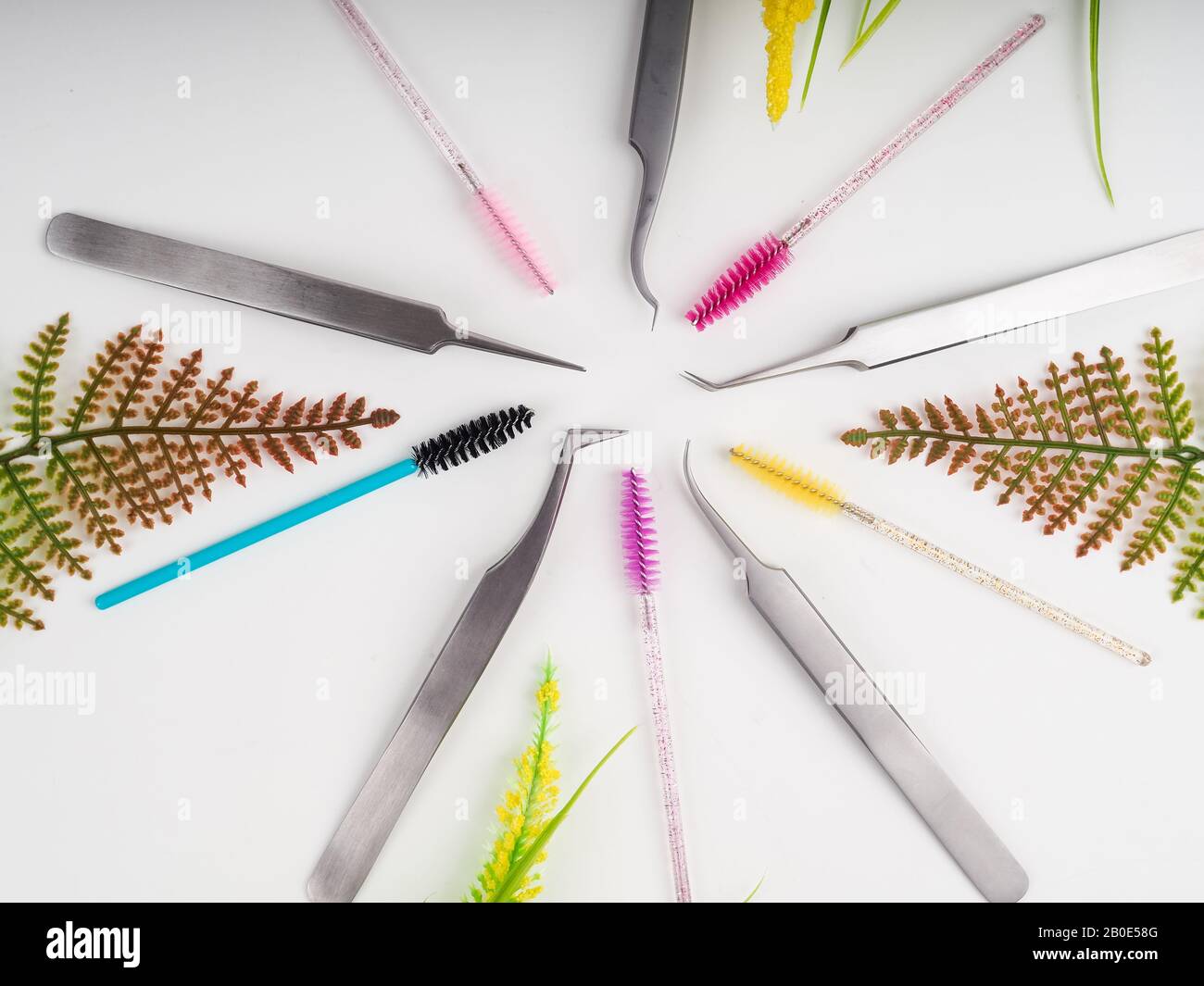 Eyelash Extension tools on white background. Accessories for eyelash extensions. Artificial lashes Stock Photo