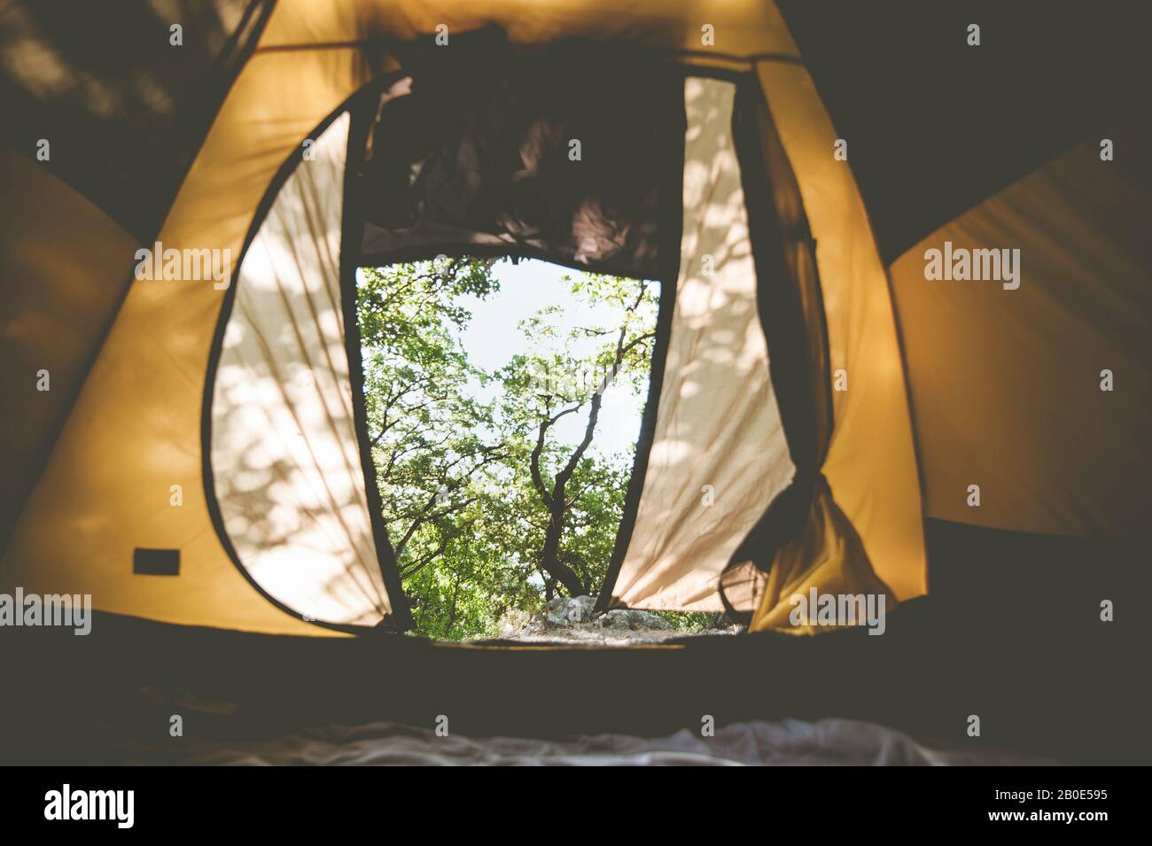View from the tent at dawn in the woods. Selective focuse Stock Photo