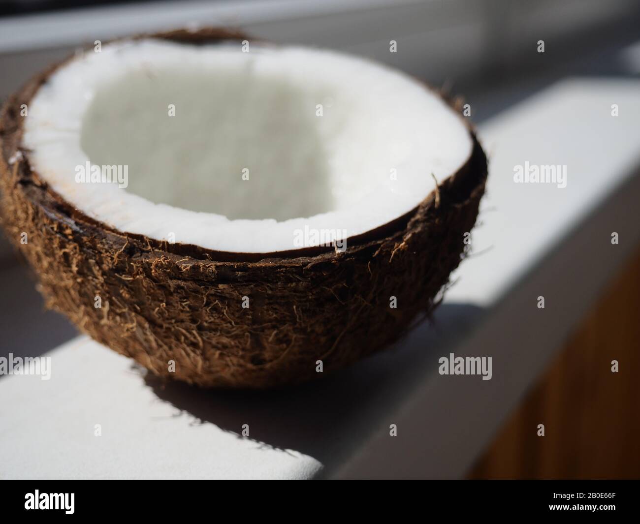 close up of a coconut on a white background Stock Photo