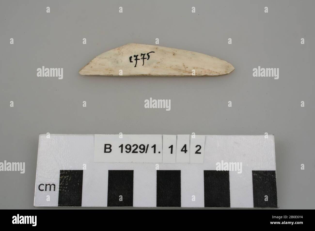 Ancient Near East, miscellaneous, organic, bone, L 7.4 cm, W 1.9 cm, Location, Palestine Stock Photo