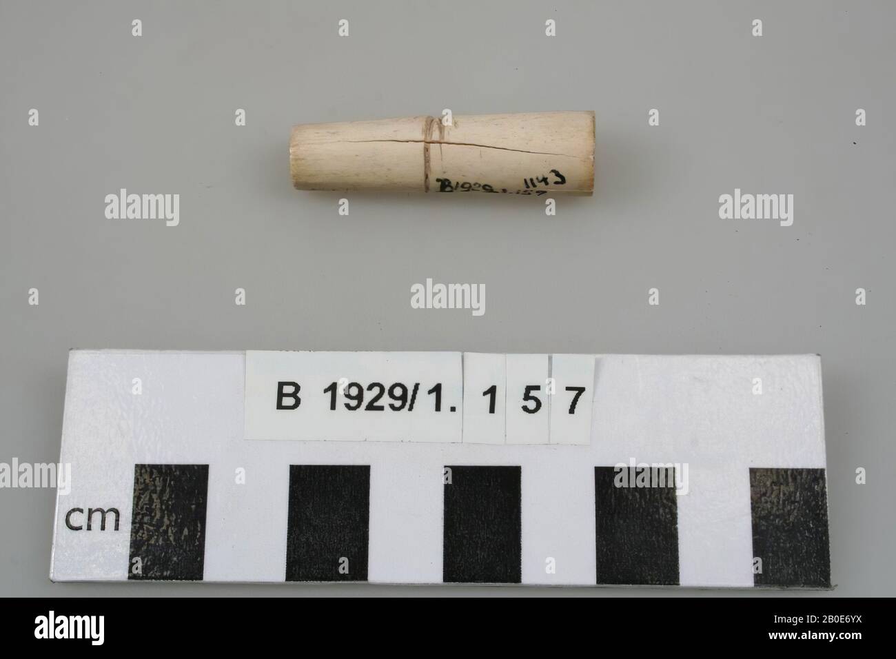 Ancient Near East, tool, organic, bone, L 4.3 cm, D 1.2 cm, Location, Palestine Stock Photo