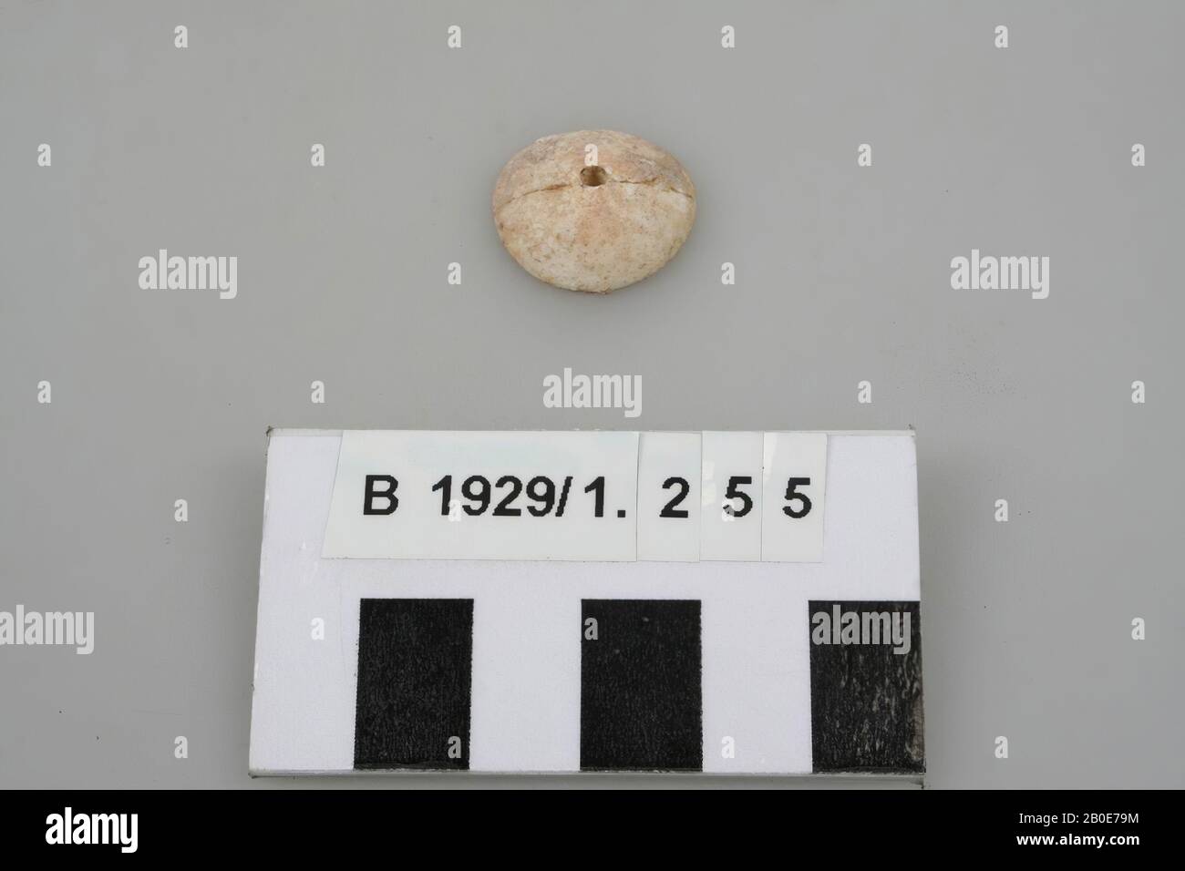 tools, stone, limestone, D 2.1 cm, Palestine Stock Photo