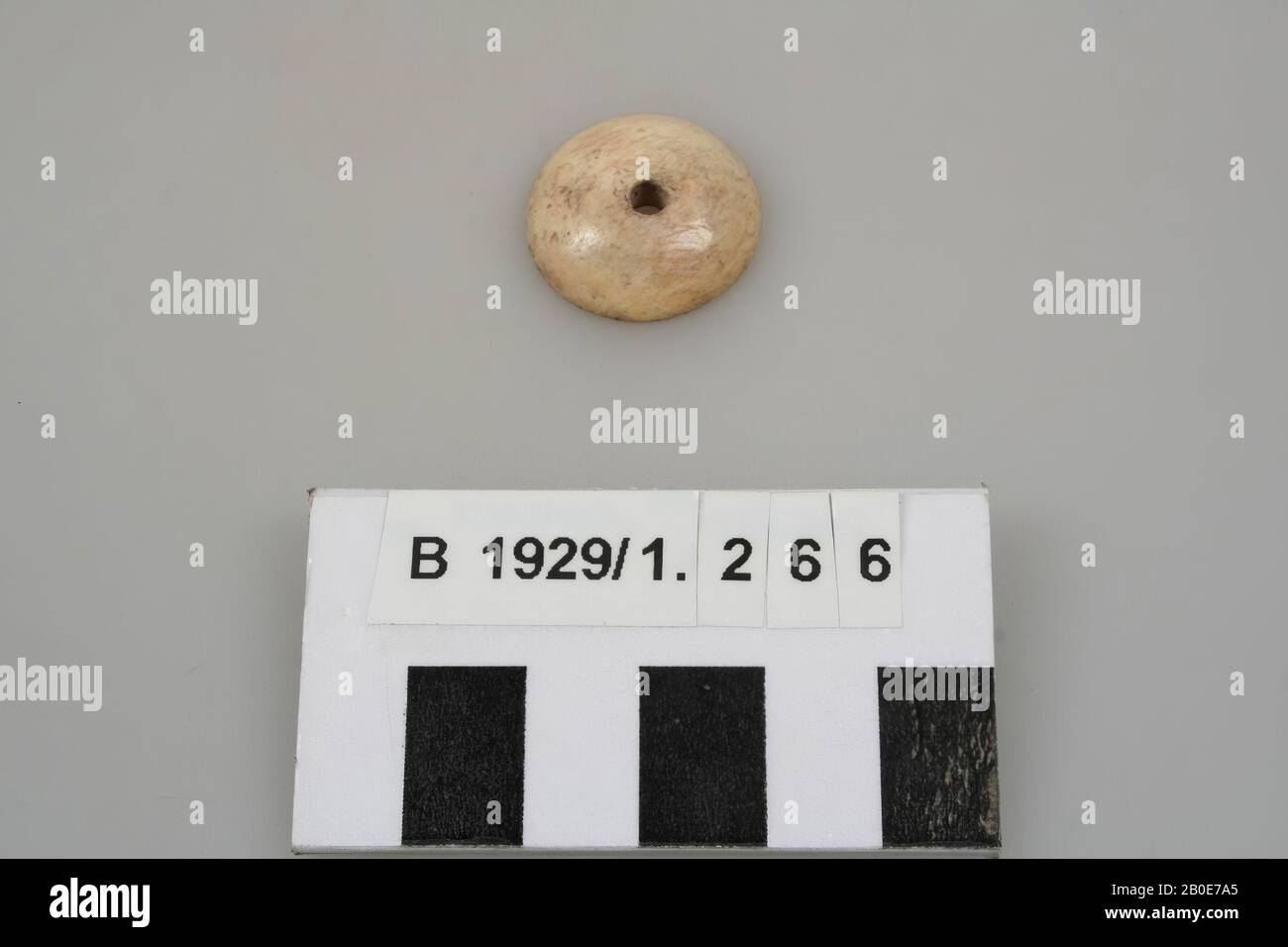 tools, stone, D 2.3 cm, Palestine Stock Photo
