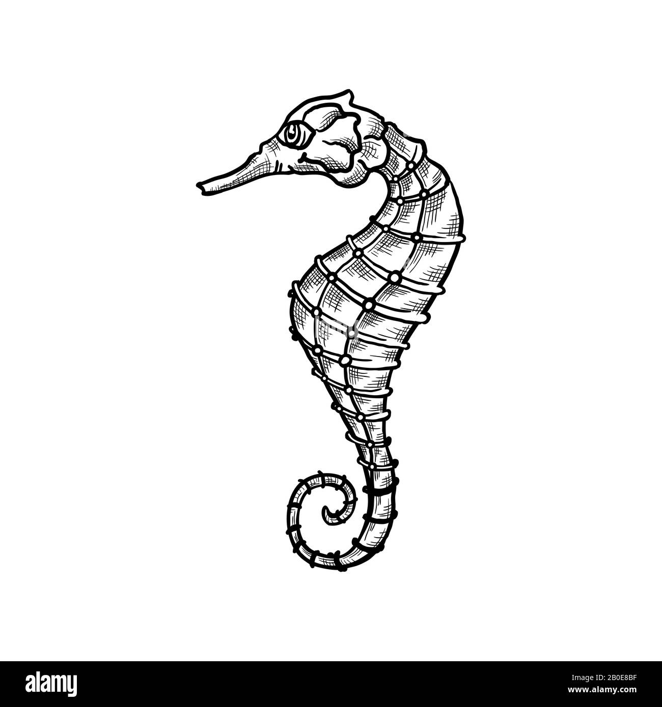 Seahorse vector sketch and thin line art aquatic animal with pencil hatching texture. Oceanairum and tropical aquarium fauna seahorse, underwater marine wildlife, hand drawn icon isolated on white Stock Vector