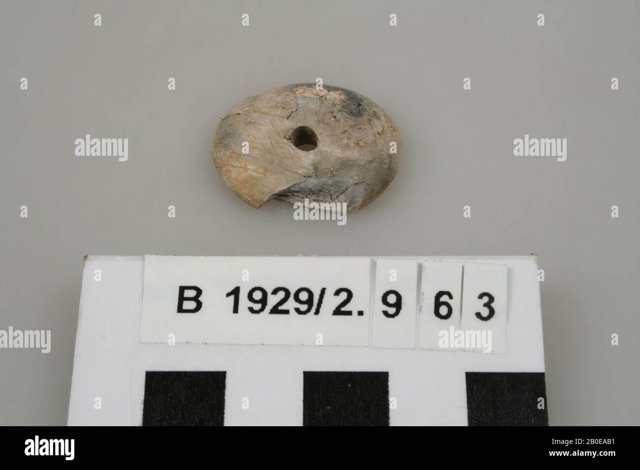 spider stone, stone, diam: 2.8 cm, Israel Stock Photo
