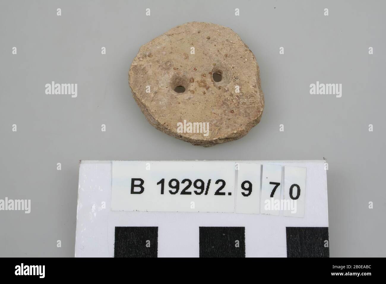 spider stone, stone, diam: 3.3 cm, Israel Stock Photo