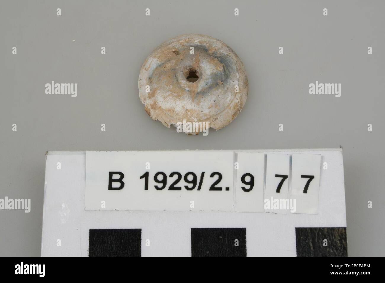 spider stone, stone, diam: 2.3 cm, Israel Stock Photo