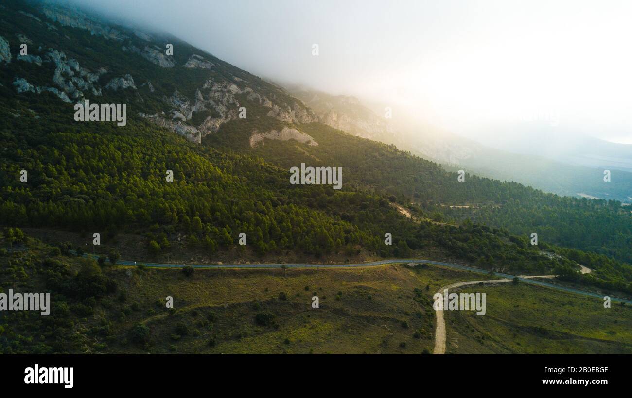 View of tree covered foggy mountain Stock Photo - Alamy
