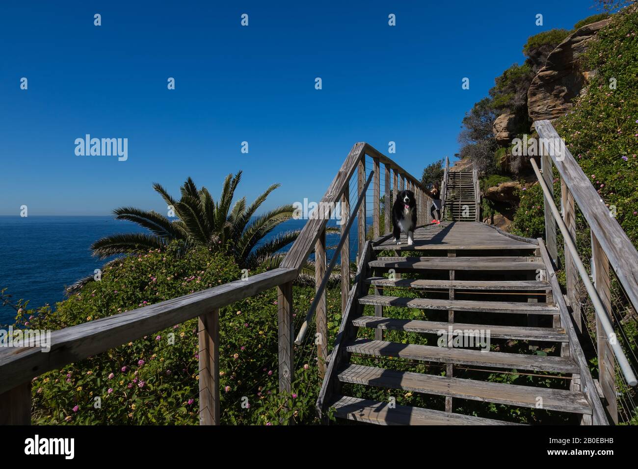 The Federation Cliff Walk, Dover Heights, Sydney. Its a five kilometre