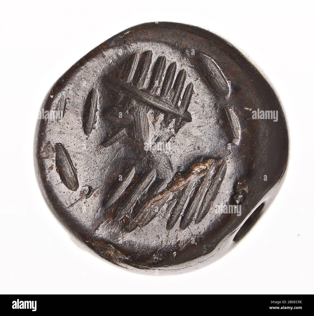 L 1 Cm High Resolution Stock Photography And Images Alamy