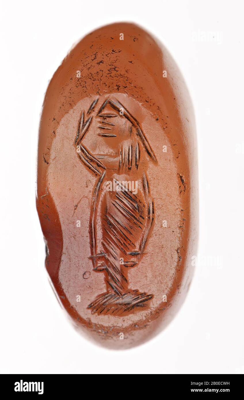 L 1 Cm High Resolution Stock Photography And Images Alamy
