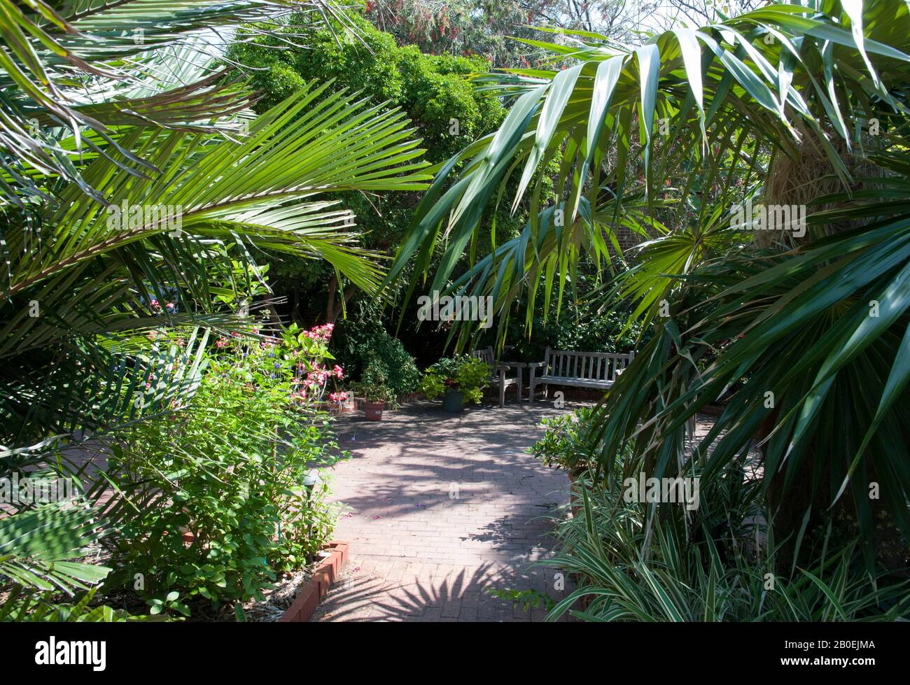 The path inside Key West botanical garden surrounded by lush tropical ...