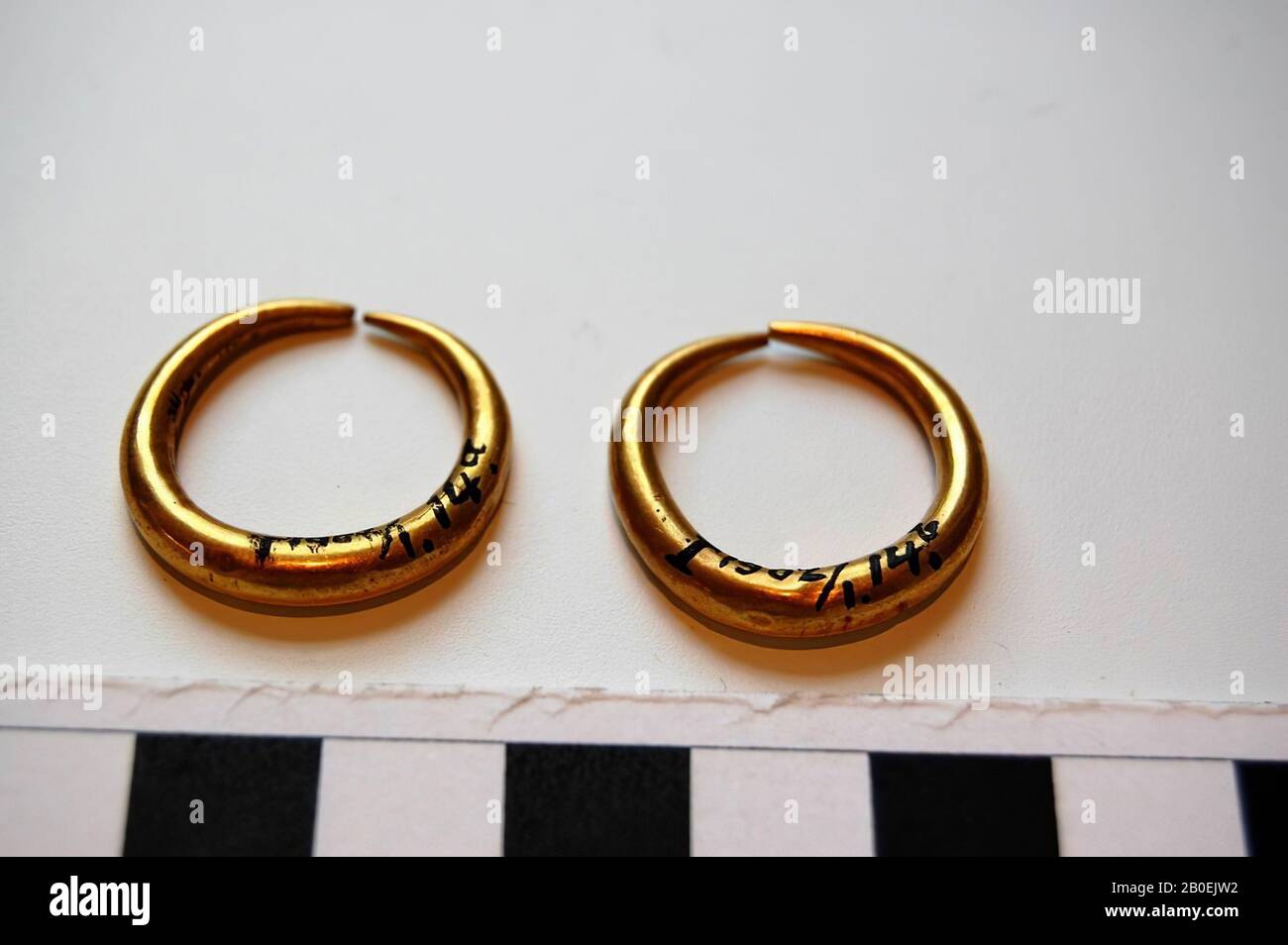 Slippery thick earring, earring, gold, 2.5 cm, Turkey Stock Photo