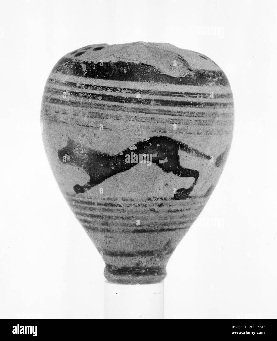 Piriform Cut Out Stock Images & Pictures - Alamy