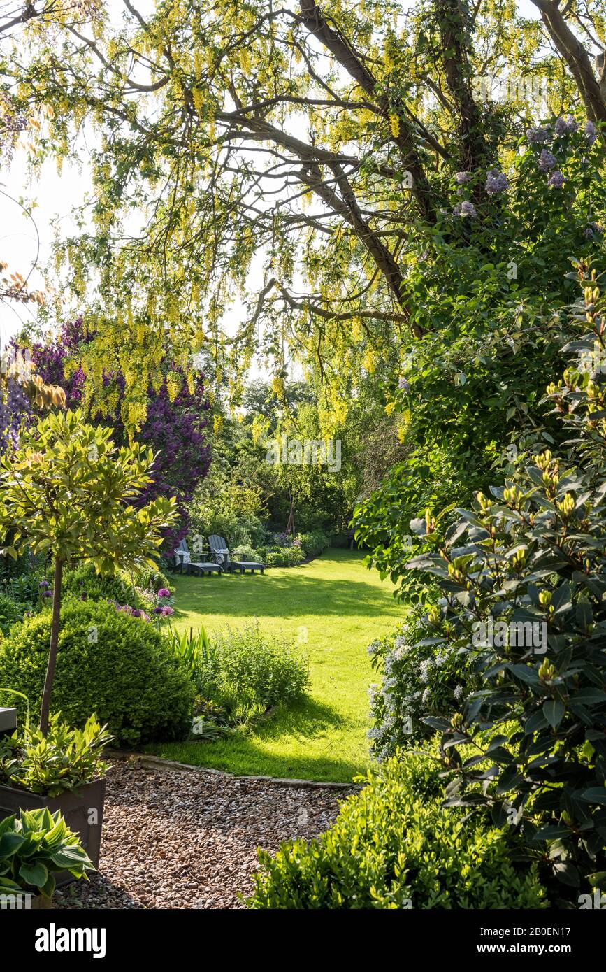 Sunlit Suffolk garden Stock Photo